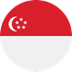 Singapore Flag 11654477